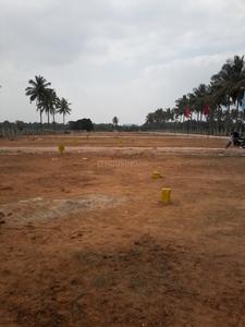 Tekton White Park Images for Amenities of Tekton White Park 1