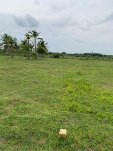 Project Image of 1200.0 - 2352.0 Sq.ft Residential Plot Plot for buy in Sri Arunachaleswarar Nagar