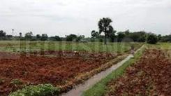 Project Image of 957.99 - 5629.53 Sq.ft Residential Plot Plot for buy in USM B1 Layout