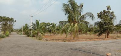 Project Image of 1503.0 - 2700.0 Sq.ft Residential Plot Plot for buy in Siri Venkateswara Nandanavanam Visishta