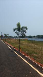 Project Image of 680.0 - 2500.0 Sq.ft Residential Plot Plot for buy in I5 Auroowin Enclave