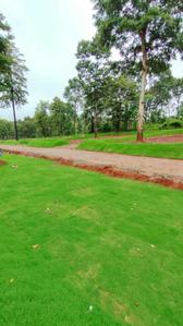 Project Image of 5500.0 - 11000.0 Sq.ft Residential Plot Plot for buy in Lost In The Woods