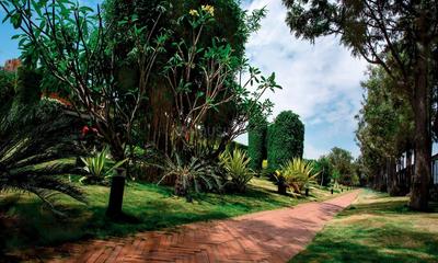 Project Image of 1431.0 - 3430.0 Sq.ft 2 BHK Apartment for buy in Total Environment In That Quiet Earth Bangalore