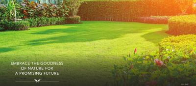Project Image of 398.0 - 484.0 Sq.ft 1 BHK Apartment for buy in Tharwani Millennium City Phase III