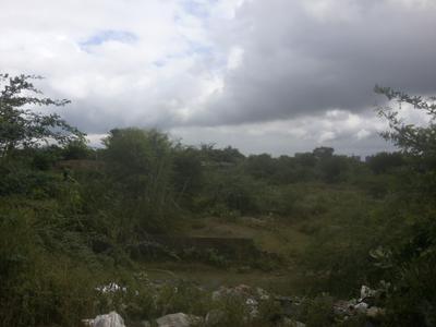 Wayone Buildtech Green valley Elevation 1