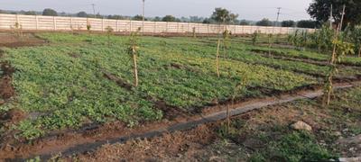 Project Image of 2178.0 - 5445.0 Sq.ft Residential Plot Plot for buy in Magma Balajis Water Front Farmlands
