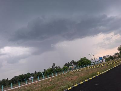 Project Image of 384.0 - 1810.0 Sq.ft Residential Plot Plot for buy in Wishaka Dharshan Nagar