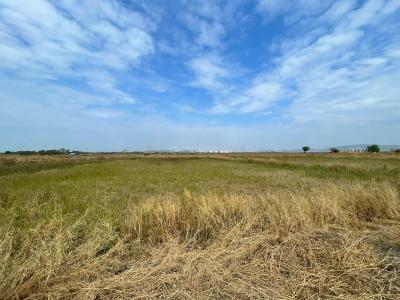 Project Image of 1000.0 - 10000.0 Sq.ft Residential Plot Plot for buy in Avani Plots In Prikon