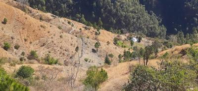 Project Image of 1800.0 - 2700.0 Sq.ft Residential Plot Plot for buy in The Akshata