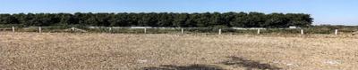 Project Image of 560.05 - 1573.04 Sq.ft Residential Plot Plot for buy in Govindji Ayodhya Residency 1