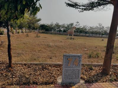 Project Image of 1197.0 - 3600.0 Sq.ft Residential Plot Plot for buy in Subhagruha Sukrithi Royal