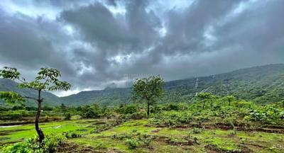 Project Image of 1615.0 - 3230.0 Sq.ft Residential Plot Plot for buy in Wadhwa Heirloom Land