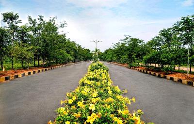 Project Image of 810.0 - 9000.0 Sq.ft Residential Plot Plot for buy in Siyora Royal Court