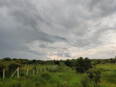 Project Image of 2700.0 - 10800.0 Sq.ft Residential Plot Plot for buy in Creos The Roots