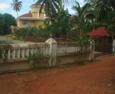 Project Images