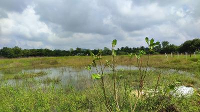 Project Image of 600.0 - 2400.0 Sq.ft Residential Plot Plot for buy in Ramamurthi Nagar