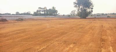 Project Image of 1440.0 - 2700.0 Sq.ft Residential Plot Plot for buy in Nature City
