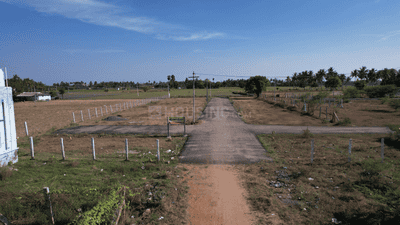 Project Images