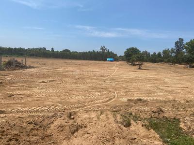 Project Image of 1200.0 - 1500.0 Sq.ft Residential Plot Plot for buy in Elite Woods