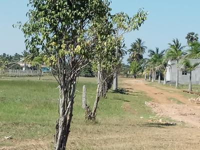 Project Image of 450.0 - 2400.0 Sq.ft Residential Plot Plot for buy in Miraacle Green Town Villa Plots Ponneri