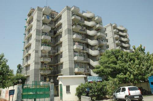 Stellar Greens - Image 3