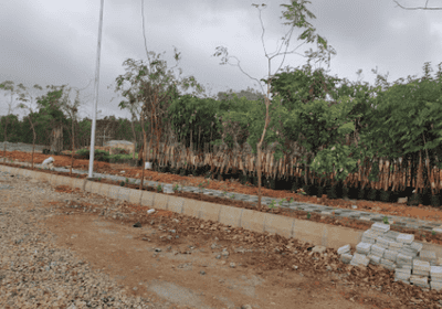 Project Images
