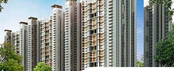 Project Image of 515.0 - 995.0 Sq.ft 1 BHK Apartment for buy in Ajnara Vice Royale