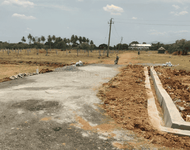 Project Images