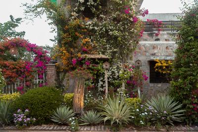 Project Image of 0.0 - 6000.0 Sq.ft 5 BHK Villa for buy in Living Stone Vanashraya 