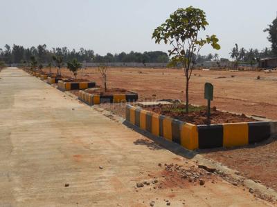 Project Image of 0.0 - 1200.0 Sq.ft Residential Plot Plot for buy in Peninsula Pine woods