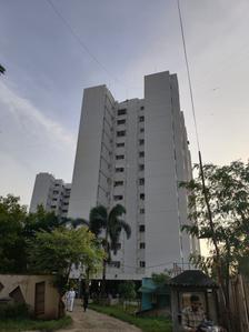 Pate West Coast Park Phase II Elevation 1