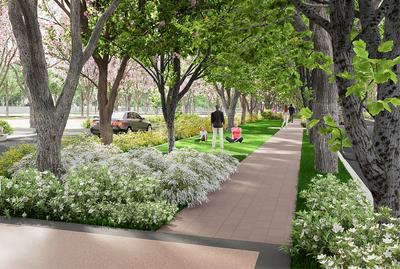 Project Image of 1200.0 - 2400.0 Sq.ft Residential Plot Plot for buy in Brigade Cherry Blossom