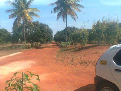 Project Image of 1108.0 - 2400.0 Sq.ft Residential Plot Plot for buy in Shriram Godhuli
