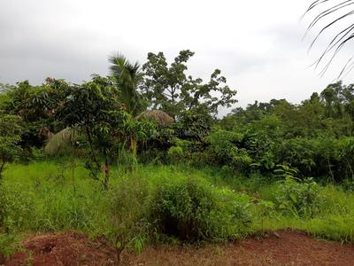 Project Image of 1000.0 - 10000.0 Sq.ft Residential Plot Plot for buy in Farm N Land Mangaon