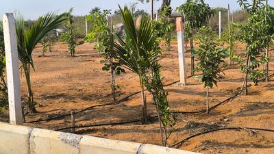 Project Image of 1350.0 - 2700.0 Sq.ft Residential Plot Plot for buy in Srr Fortune Gachibowli Paradise County Phase 5