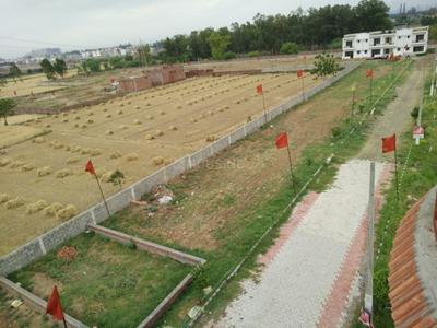 Project Images