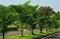 Chartered Windsong Phase 2 Amenities 2