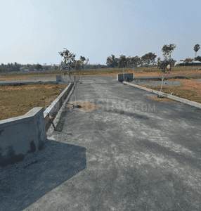 Project Images