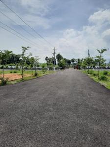 Project Image of 363.71 - 8770.97 Sq.ft Residential Plot Plot for buy in Aanyarayan Emerald Avenue