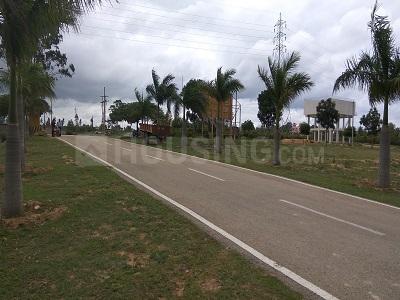 Anu Layout Phase 1 Elevation 1