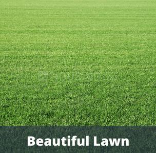 Project Image of 559.96 - 629.75 Sq.ft 2 BHK Apartment for buy in GLS Avenue 81 Phase 1