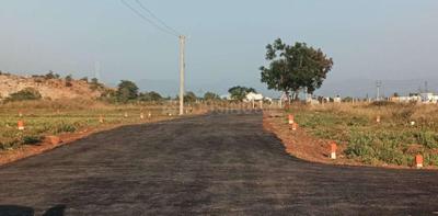Project Images
