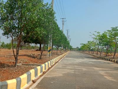 Project Image of 1323.0 - 4401.0 Sq.ft Residential Plot Plot for buy in Cosmo Celesse 