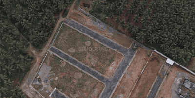Project Images