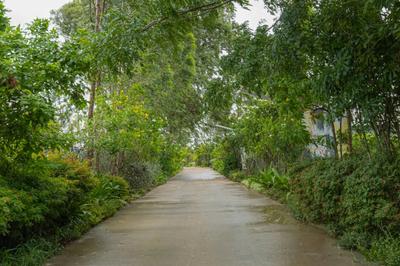 Project Image of 263.29 - 2910.56 Sq.ft 1 BHK Villa for buy in Cityville Valmark Phase 2B