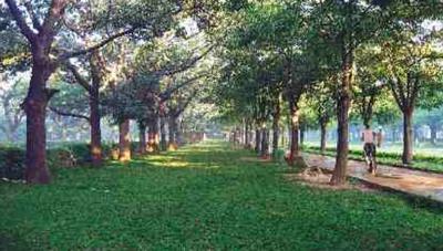 Project Image of 450 Sq.ft 1 BHK Apartment / Flat for sale in Kankavli for Rs. 2700000
