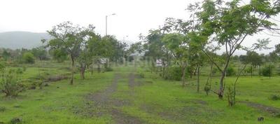 Sairung Victoria Elevation 1