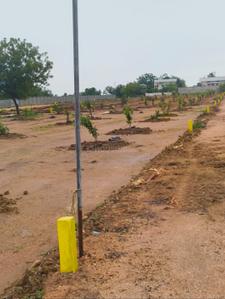 Project Image of 1800.0 - 3267.0 Sq.ft Residential Plot Plot for buy in Yadadri Sunrise County