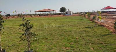 Project Image of 1319.0 - 3240.0 Sq.ft Residential Plot Plot for buy in Hill County