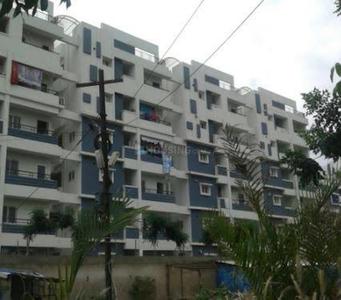 AV Info Pride Elevation 2